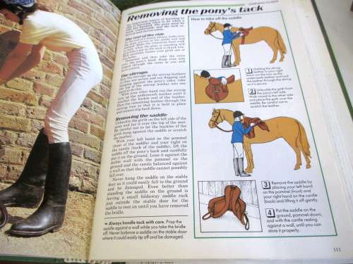 1980's Full Set #1-85 Horse Sense Magazines. Three Binders. Excellent Condition. Collectors Item.