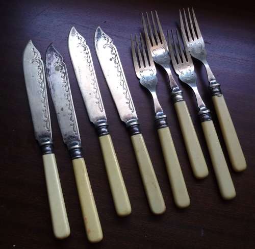 Set of 4 Old Bone Handled EPNS Fish Knives and Forks. Handles in Good Condition, Sheffield England.