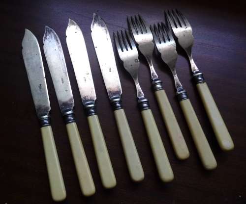 Set of 4 Old Bone Handled EPNS Fish Knives and Forks. Handles in Good Condition, Sheffield England.