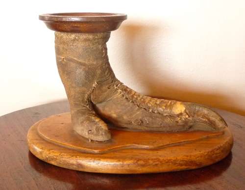Vintage Ostrich Foot Taxidermy