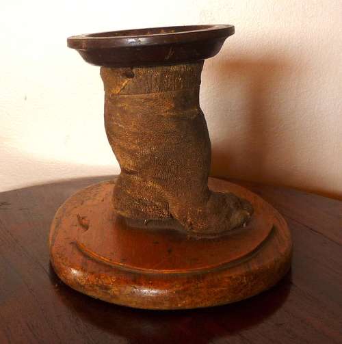 Vintage Ostrich Foot Taxidermy