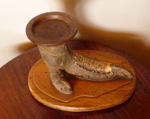 Vintage Ostrich Foot Taxidermy