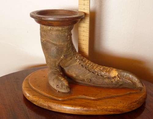 Vintage Ostrich Foot Taxidermy