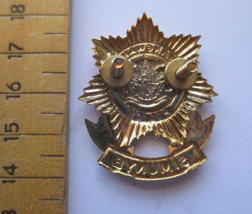 Kangwane Police Gilding Metal and Enamel Cap Badge