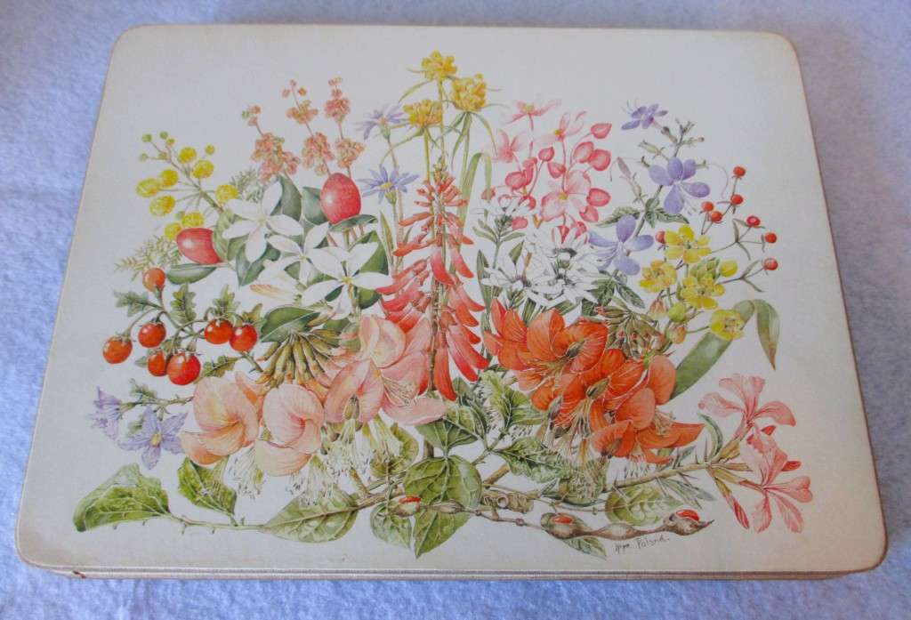 Vintage Cork Backed Placemats Wild Flowers of the Veld Boxed Gift Set of 5.