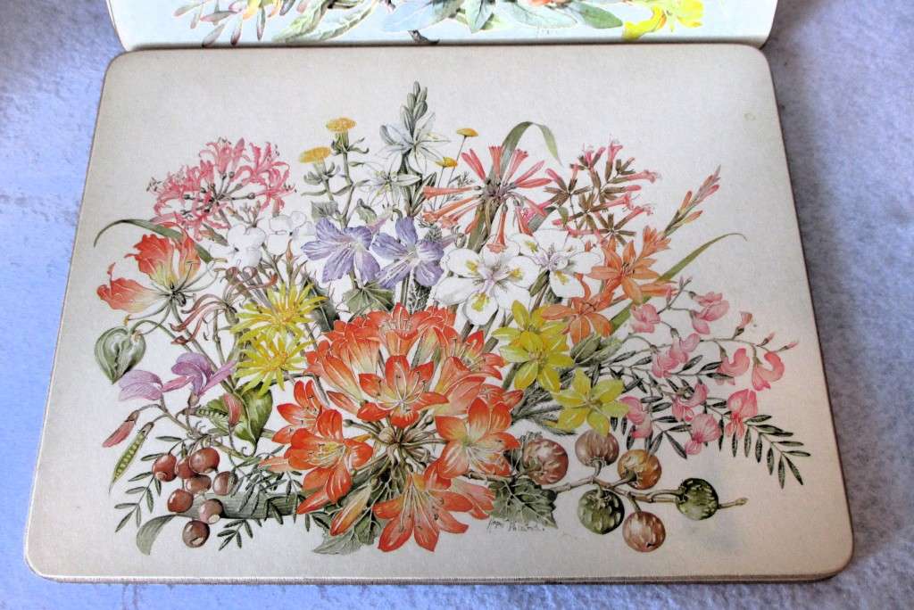 Vintage Cork Backed Placemats Wild Flowers of the Veld Boxed Gift Set of 5.