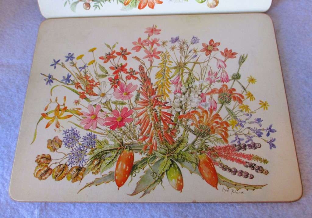 Vintage Cork Backed Placemats Wild Flowers of the Veld Boxed Gift Set of 5.