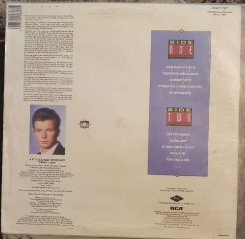 Rick Astley  Whenever You Need Somebody (Vinyl) RCAC1067 Media VG+, Sleeve VG +