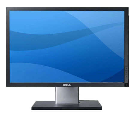 DELL PROFESSIONAL P1911B 19-INCH LCD WITH ROTATE, HEIGHT ADJUSTMENT, USB PORTS