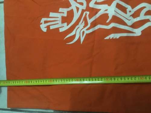 SA COAT OF ARMS ON BANNER