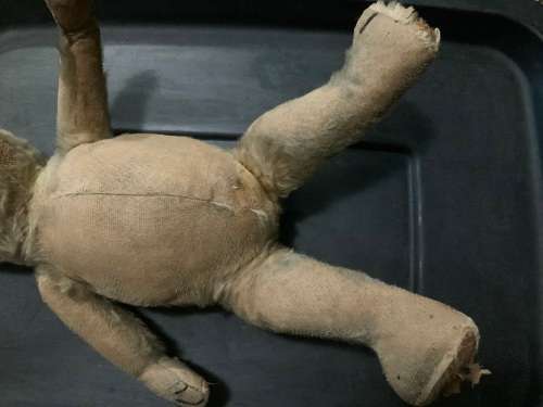 Vintage toy teddy bear
