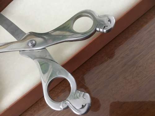 Carrol Boyes - SCISSORS