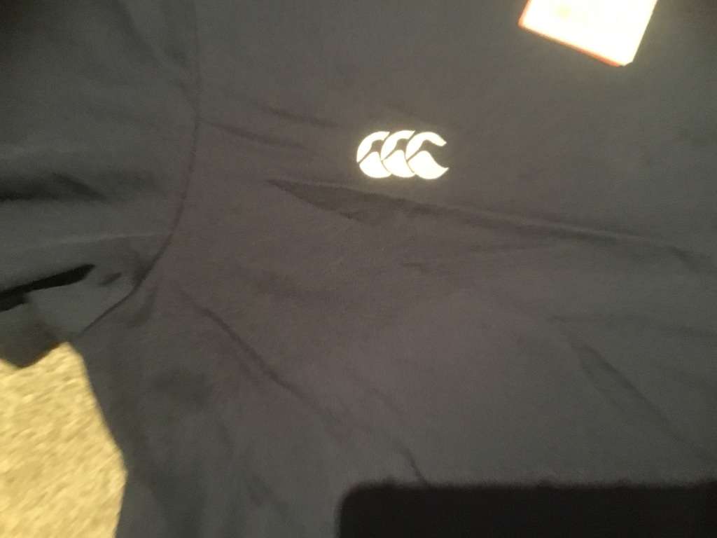 British /Irish  lions t shirt size Large