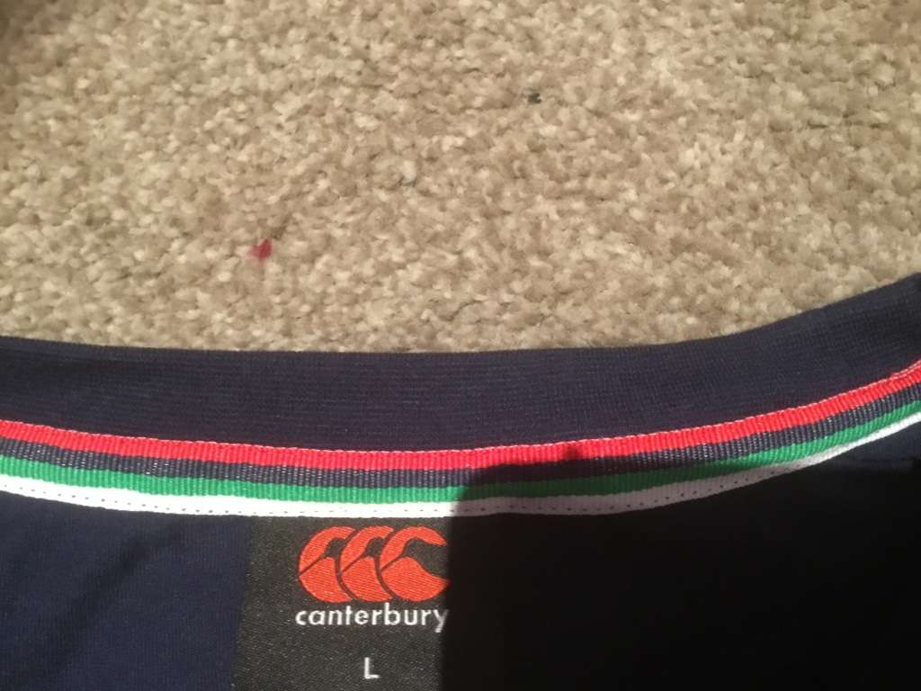 British /Irish  lions t shirt size Large