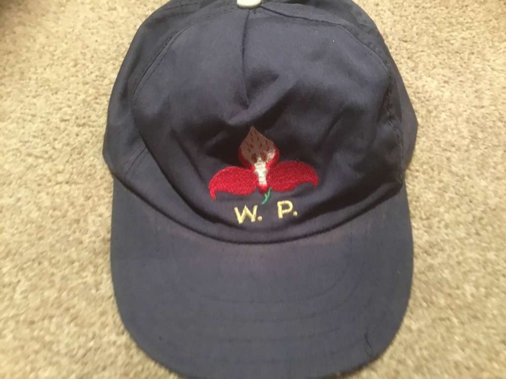 Vintage Western Province cap