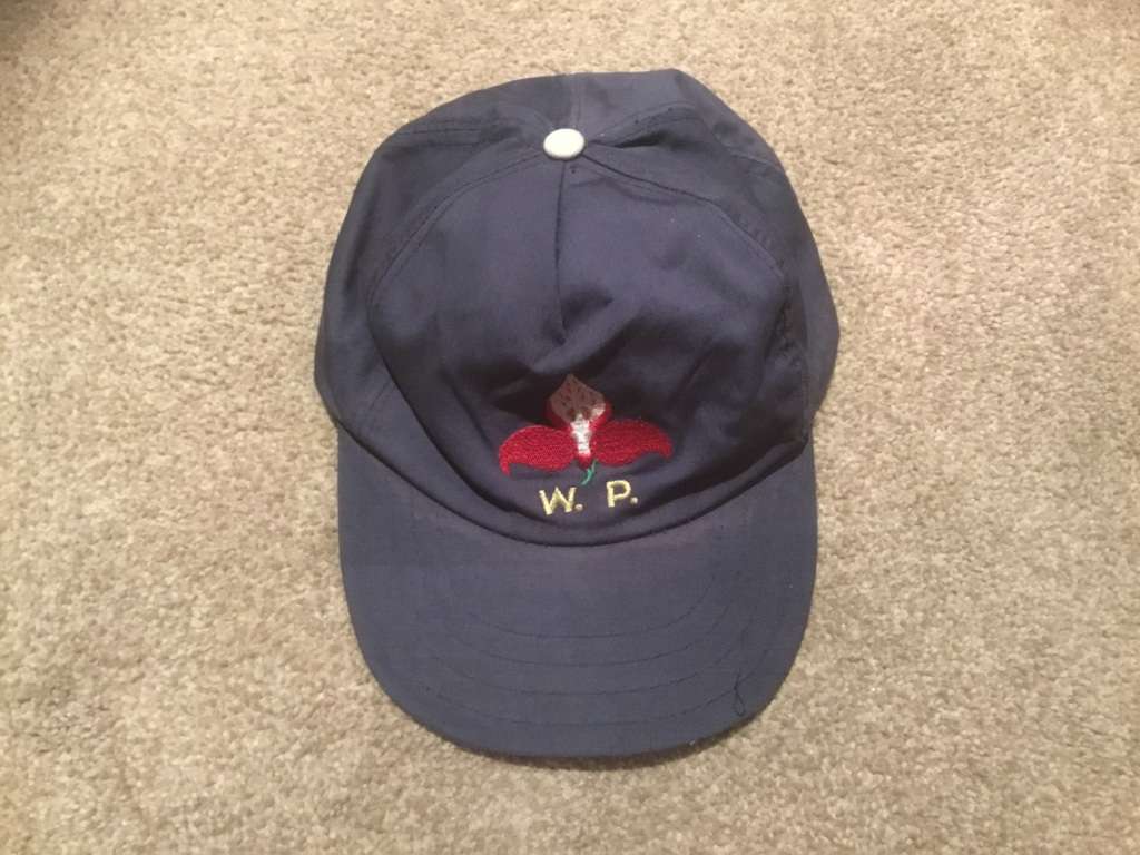 Vintage Western Province cap