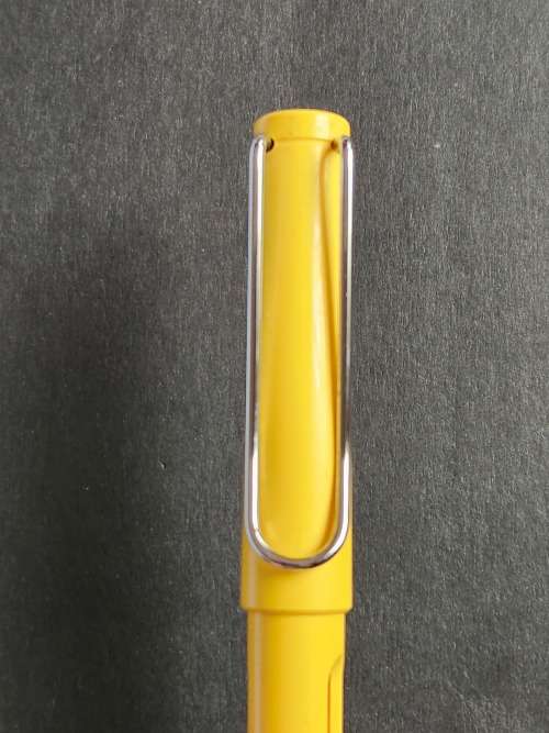 Lamy Safari Fountain Pen (needs refill) - as per photograph
