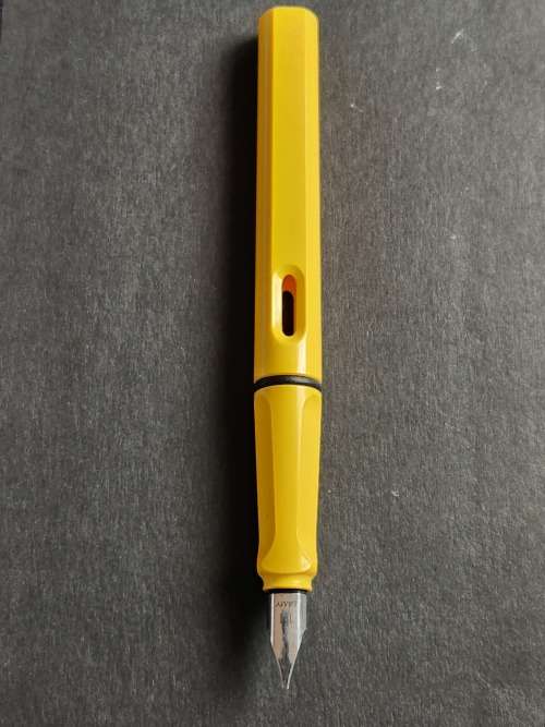 Lamy Safari Fountain Pen (needs refill) - as per photograph