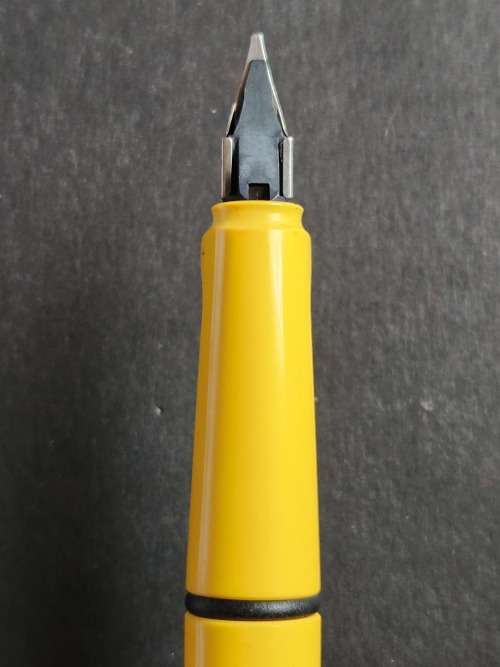 Lamy Safari Fountain Pen (needs refill) - as per photograph