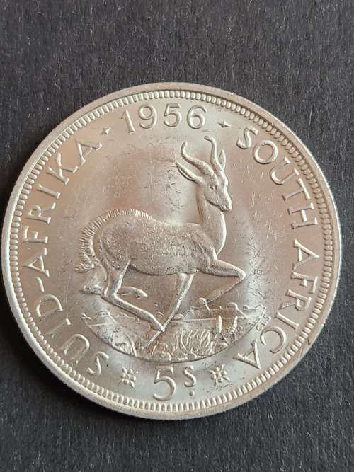 Union 5 Shillings 1956 EF+/UNC - as per photograph