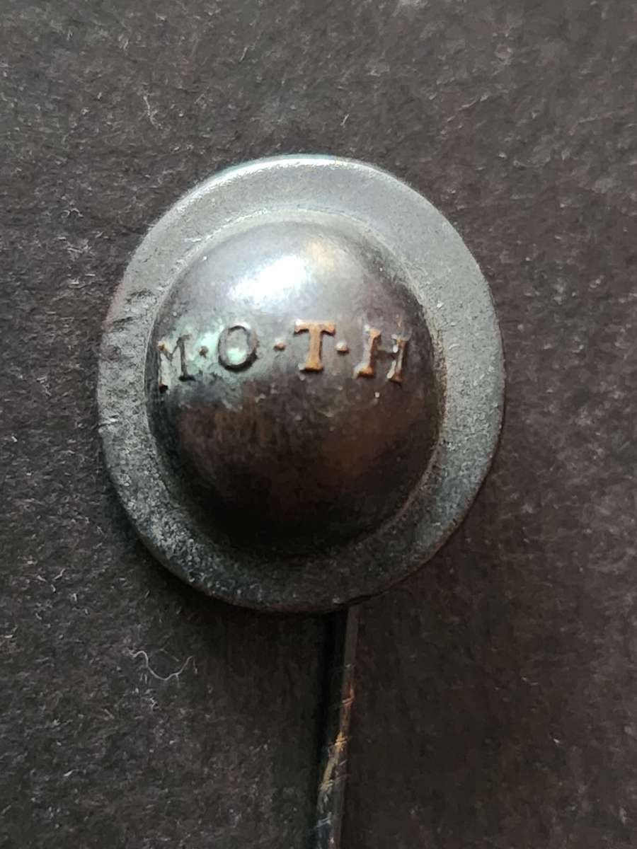 Moth Stick Pin - as per photograph