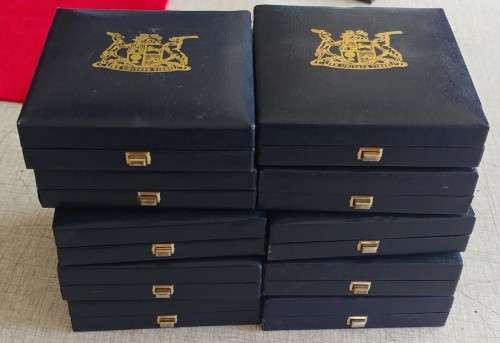 22 BLUE SA MINT BOXES