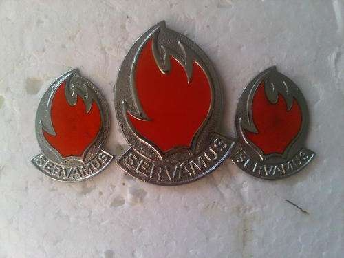 113 BATTALION CAP & COLLARS - ORIGINAL