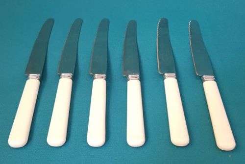 SET OF 6 BONE HANDLE LIKE DINNER KNIVES (SHEFFIELD)
