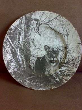 ROYAL DOULTON AFRICAN SERIES 'LIONESS' PLATE