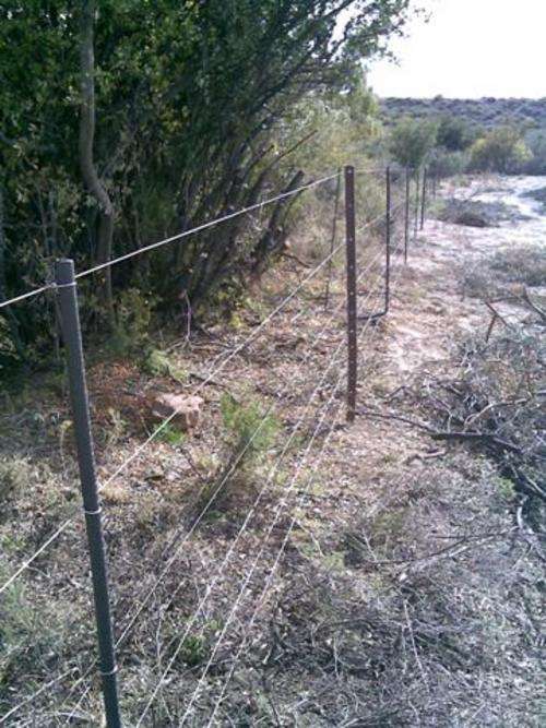 Amazing Plastic Droppers for Fencing