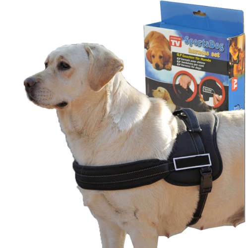 SPORT DOG HARNESS SET