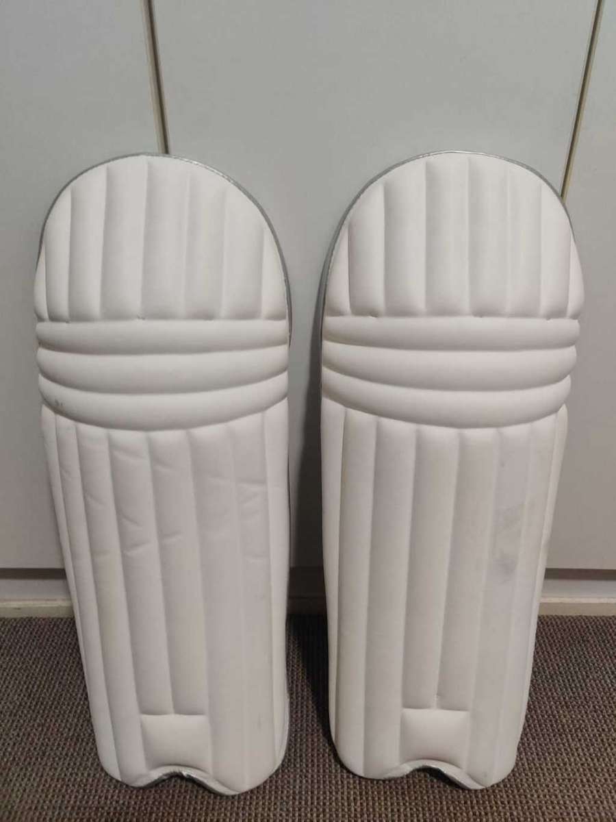 SS GG Smacker cricket bat - Free pads