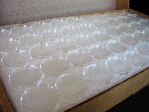 ***BUY NOW for 'Emerge' ONLY**50 x  TOP QUALITYairtight capsules for Mandela R5's***