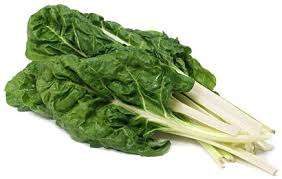 SWISS CHARD : FORDHOOK GIANT : LOT OF 5 SEEDS