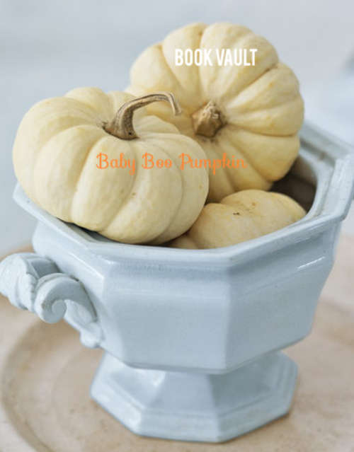 "Baby Boo" Pumpkin - Miniature! (Lot of 6 Seeds)