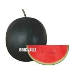 ***GROW YOUR OWN!*** WATERMELON SUGAR BABY SEEDS - Lot of 10 Seeds