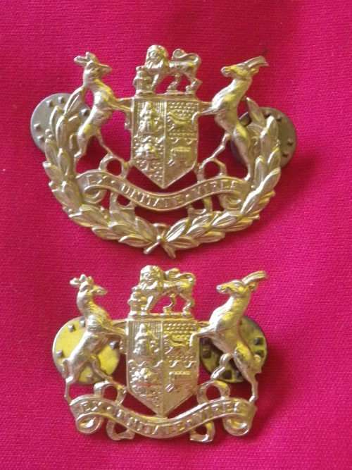 SADF - BORDER WAR PERIOD - EARLIER GILDING METAL WO1 & WO2 RANK BADGES  PIN BACKED (DINNES 942/3)