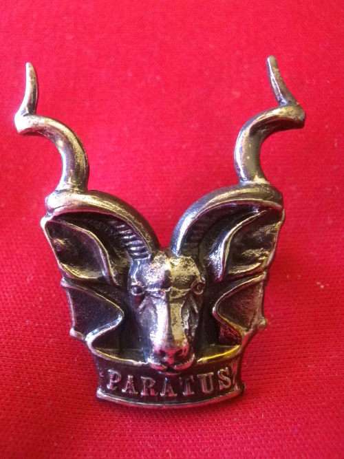 3740 - SWATF AREA FORCE  OXIDISED SILVER CAP BADGE  - BORDER WAR PERIOD - DINNES 1254