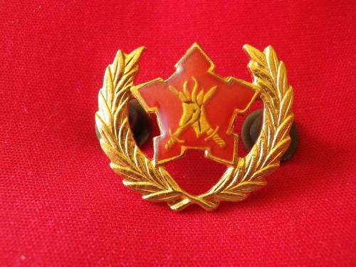 3737-COMMANDOS / CITIZEN FORCE BRASS+ ENAMEL BREAST BADGE - 5 YEARS- BORDER WAR PERIOD -  DINNES 904