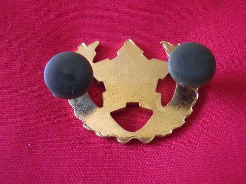 3737-COMMANDOS / CITIZEN FORCE BRASS+ ENAMEL BREAST BADGE - 5 YEARS- BORDER WAR PERIOD -  DINNES 904