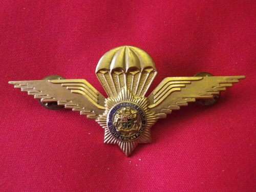 SA POLICE TASK FORCE OBSOLETE BRASS + ENAMEL 2ND TYPE  PARA WINGS  OWEN 2391      (4666)