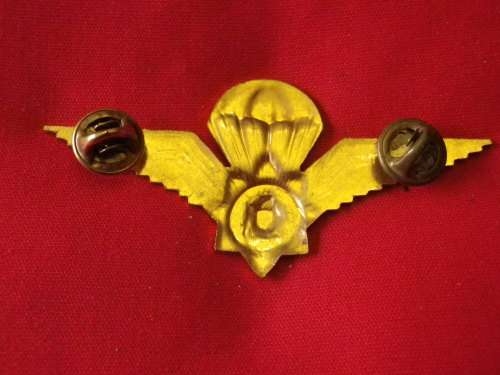 SA POLICE TASK FORCE OBSOLETE BRASS + ENAMEL 2ND TYPE  PARA WINGS  OWEN 2391      (4666)