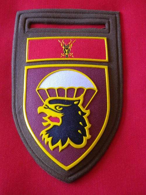 SADF - 44 PARACHUTE BRIGADE + CHIEF OF ARMY COMMAND BAR LH TUPPER FLASH - DINNES 5514       (71)