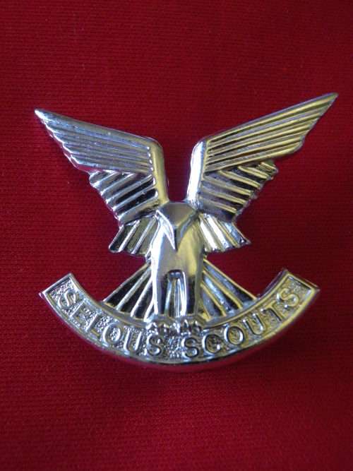 RHODESIAN ARMY - SELOUS SCOUTS SILVER ANODISED OR'S BERET BADGE - UDI (65)