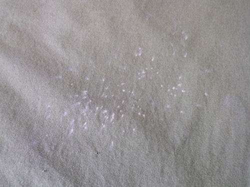 RHODESIAN BUSH WAR PERIOD  PT TYPE SHIRT - SHOULDER WIDTH APPROX 50 CM/19.5"  (LARGE/XL)   (4681)