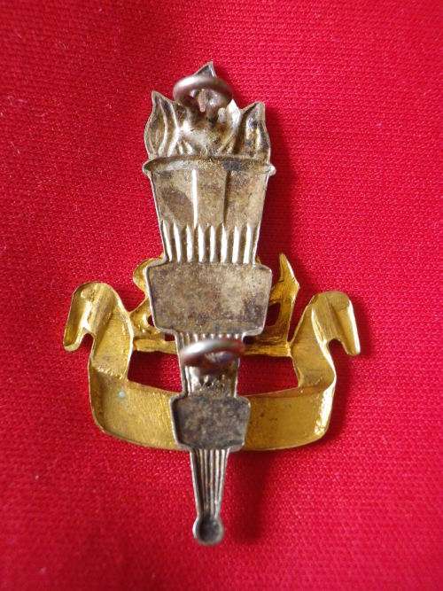 RHODESIAN EDUCATIONAL CORPS  - BI/M CAP BADGE  - UDI PERIOD  (4921)