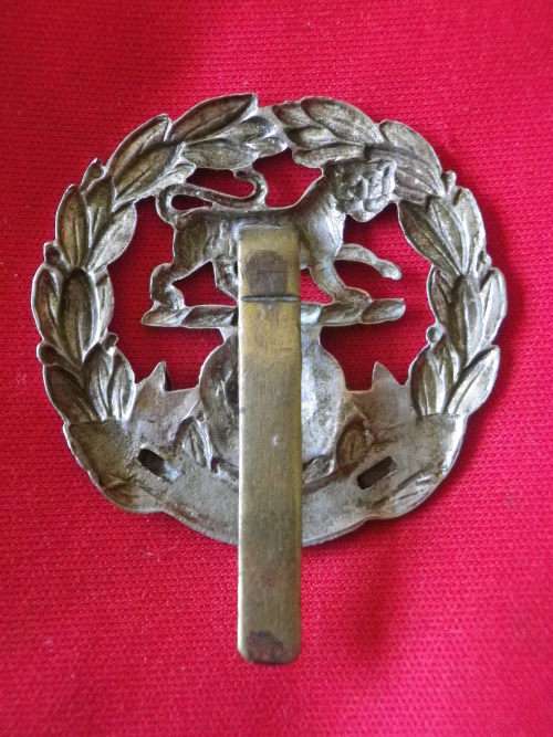 GREAT BRITAIN - HAMPSHIRE REGT.  BI METAL CAP  BADGE, AS WORN WW1  (2122)