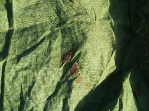 RHODESIAN ARMY ISSUED MOSQUITO NET -  IN GOOD CONDITION  (5028)