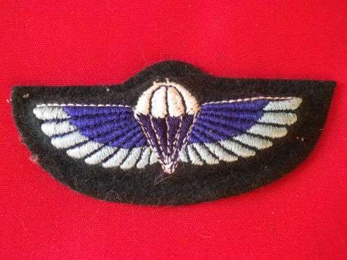 RELIST FOR "TARKERS" ONLY, DUE TO BOB SYSTEM ERROR -  SAS EMBROIDERED PADDED PARA WINGS  -