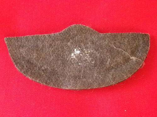 RELIST FOR "TARKERS" ONLY, DUE TO BOB SYSTEM ERROR -  SAS EMBROIDERED PADDED PARA WINGS  -